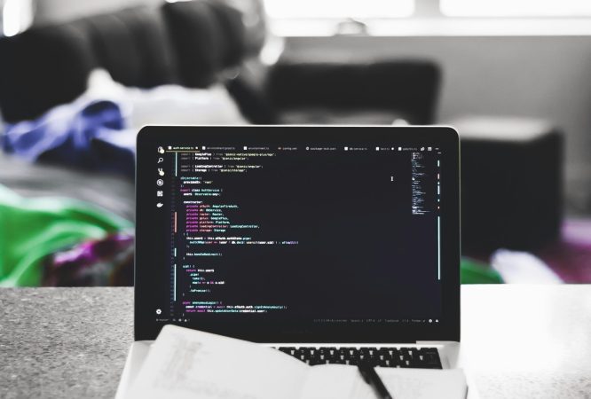 tracy-adams-TEemXOpR3cQ-unsplash